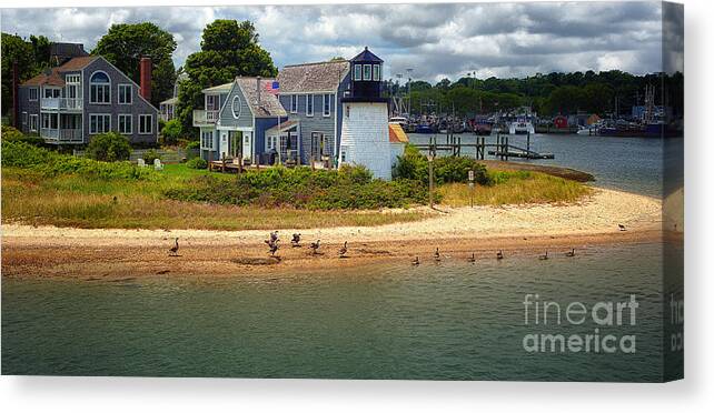 Hyannis Canvas Print featuring the photograph Hyannis Light Migrating Geese by Jack Torcello