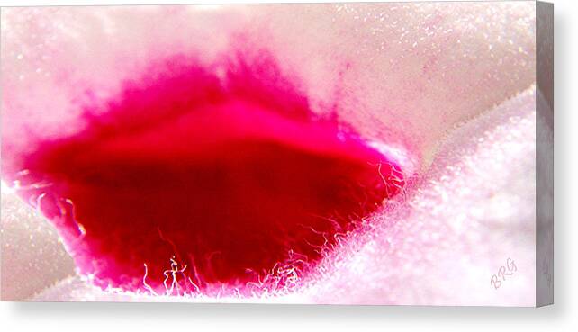 Floral Abstract Canvas Print featuring the photograph Jasmine Kiss by Ben and Raisa Gertsberg