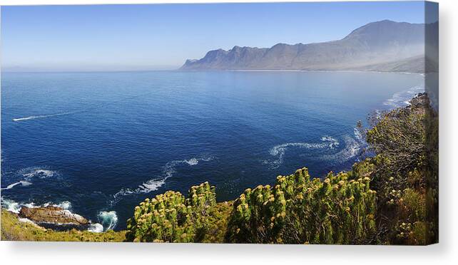 Kogelberg Canvas Print featuring the photograph Kogelberg area view over ocean by Johan Swanepoel