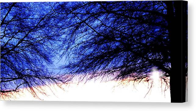  Mingling Canvas Print featuring the photograph Mingling Trees by Morgan Carter
