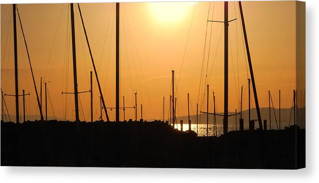 Sailing Canvas Print featuring the photograph Naked Masts by Steven Milner