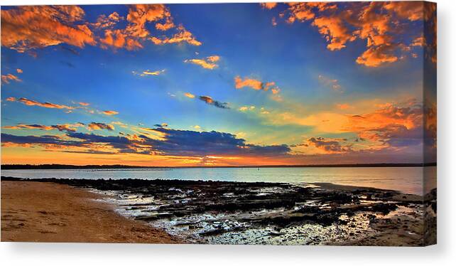 Port Stephens Canvas Print featuring the photograph Oysters Aglow by Paul Svensen