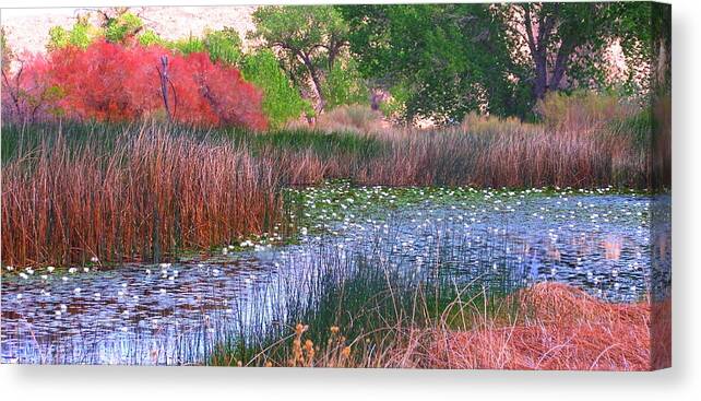 Pond Canvas Print featuring the photograph Pond by Marilyn Diaz