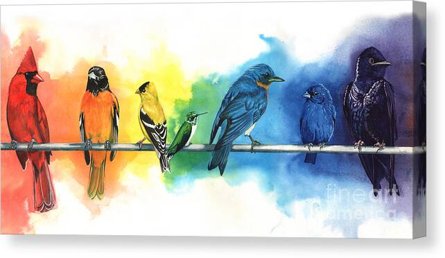 Rainbow Canvas Print featuring the painting Rainbow Birds by Antony Galbraith