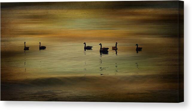Geese Canvas Print featuring the photograph Silhouettes by Marilyn Wilson