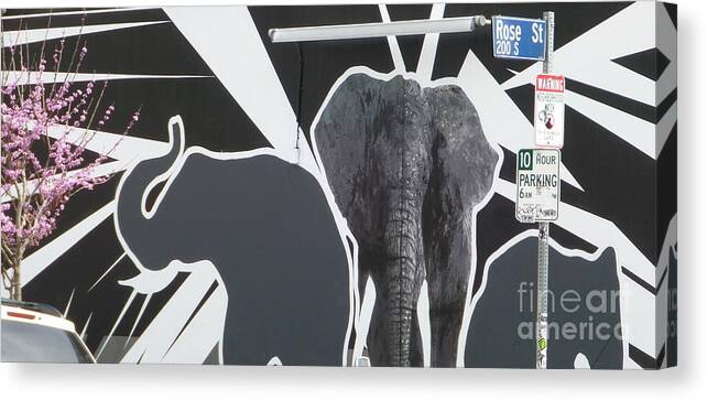 Elephants Canvas Print featuring the photograph The Take Back by Jim Simak