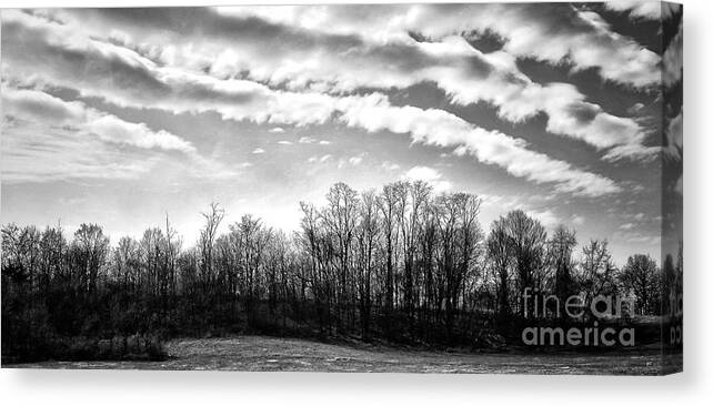 Nature Canvas Print featuring the photograph Tranquility by Gerlinde Keating