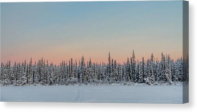 Winter Canvas Print featuring the photograph Winter Beauty by Valerie Pond