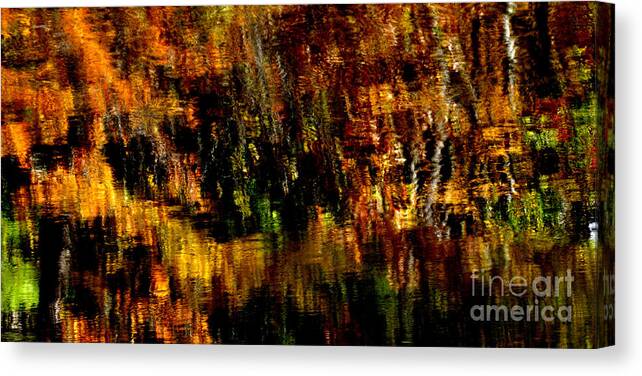 Abstract Canvas Print featuring the photograph Abstract Babcock State Park #3 by Thomas R Fletcher