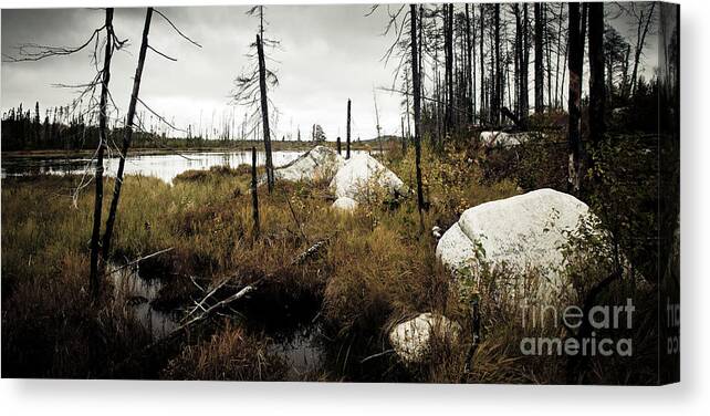 Canada Canvas Print featuring the photograph Beaver Pond by RicharD Murphy