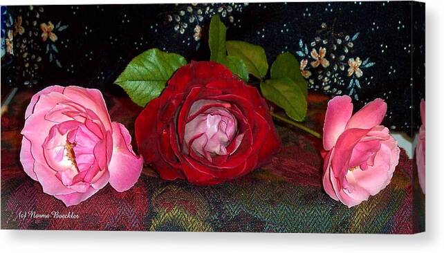 Pink Roses Canvas Print featuring the photograph Last Three Roses of Summer by Norma Boeckler