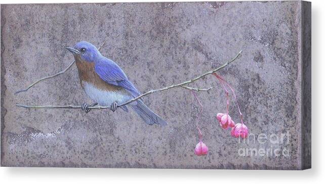 Bird Canvas Print featuring the painting Liberty - Eastern Bluebird on Wahoo Branch by Susan A Walton