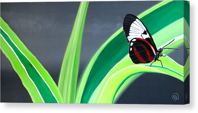 Green Canvas Print featuring the painting Red and White Butterfly on Green by Renee Noel