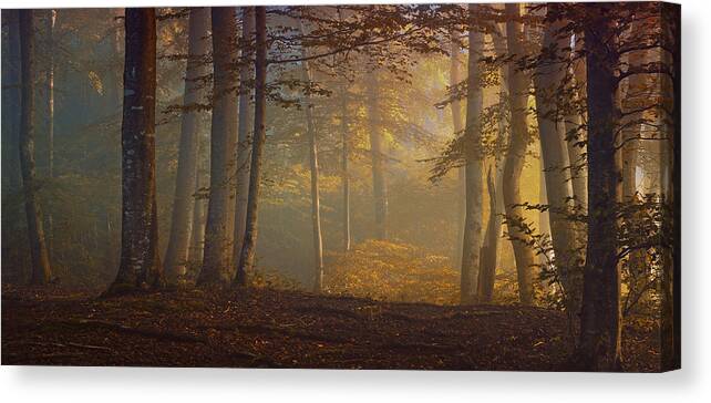 Autumn Canvas Print featuring the photograph Autumn Days by Norbert Maier
