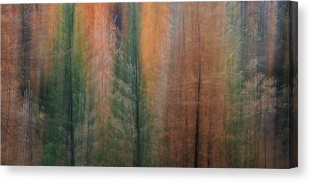 Autumn Canvas Print featuring the photograph Forest Illusion- Autumn Born by Whispering Peaks Photography
