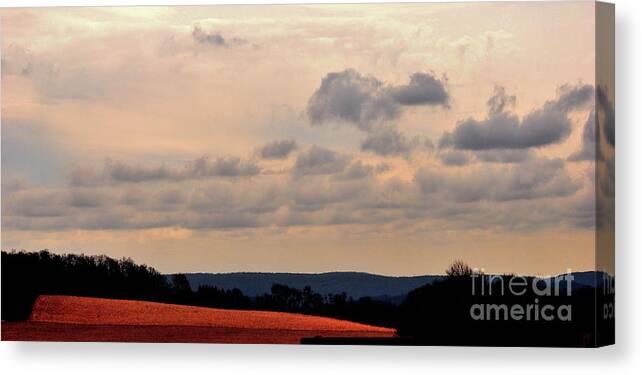 Landscape Canvas Print featuring the photograph Glowing Field by Lori Tambakis