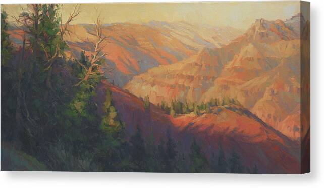 Canyon Canvas Print featuring the painting Joseph Canyon by Steve Henderson