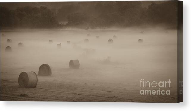 Misty Hay Bales Canvas Print featuring the photograph Misty Hay Bales by Tamara Becker