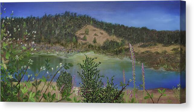 Fine Art Canvas Print featuring the painting Noyo Serenity by Stephen Daddona