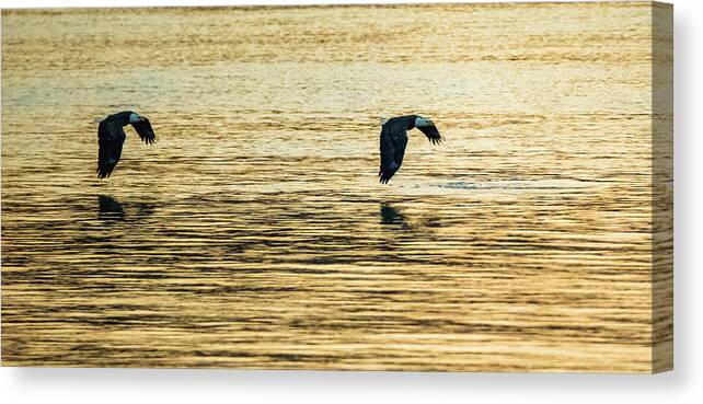 1 Of 2 Canvas Print featuring the photograph Synchronized Bald Eagles at Dawn 1 of 2 by Jeff at JSJ Photography
