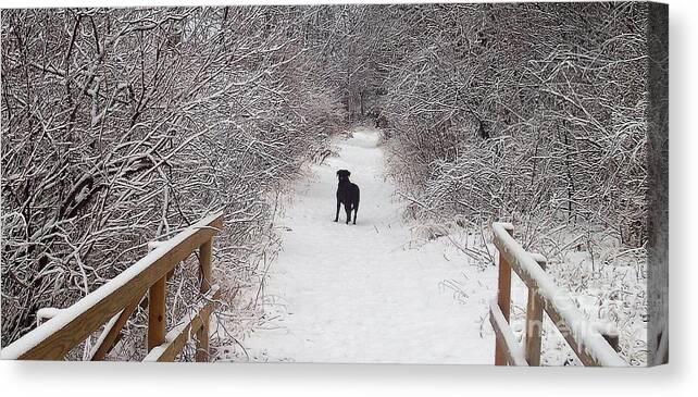 Winter Canvas Print featuring the photograph Winter Walk by Deb Stroh-Larson