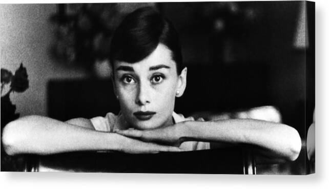 20th Century Canvas Print featuring the photograph Audrey Hepburn, British Actress #2 by George Daniell