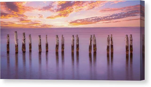 Pilings Canvas Print featuring the photograph Cape Pilings In Purple by Ed Esposito