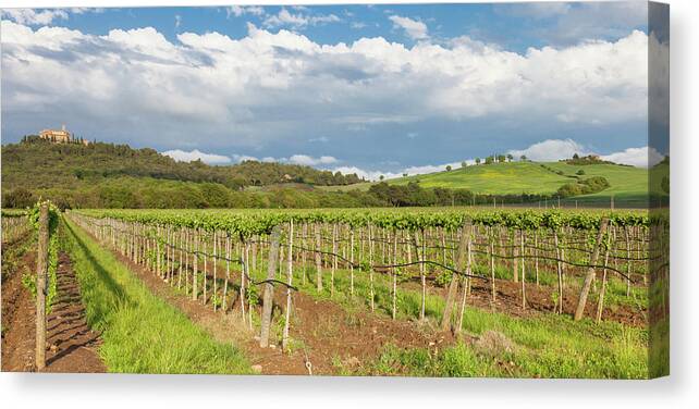 Scenics Canvas Print featuring the photograph Dusk At Tuscany Vineyards by Saro17