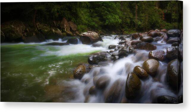Rainforest Canvas Print featuring the photograph Evening On The Sarapiqui River by Owen Weber