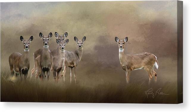 Deer Canvas Print featuring the photograph Family Portrait by Randall Allen