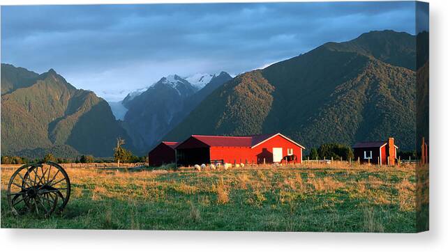 Horse Canvas Print featuring the photograph Fox Glacier Looms Over Plain by Dmathies