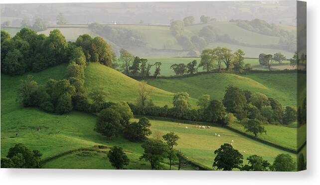 Tranquility Canvas Print featuring the photograph Hills by Lewis Gillingham