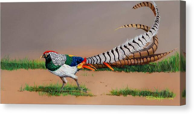Birds Canvas Print featuring the painting Lady Amherst Pheasant by Dana Newman