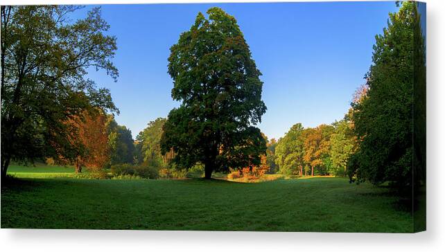 Landscape Park Canvas Print featuring the photograph Park autumn landscape by Sun Travels