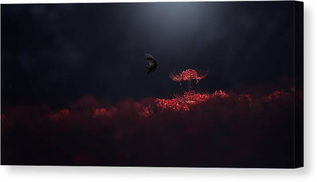 Panorama Canvas Print featuring the photograph Raven Black And Red by Takashi Suzuki