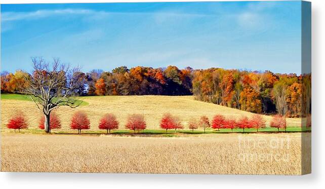 Fall Canvas Print featuring the photograph RedBud Road by Phil Cappiali Jr