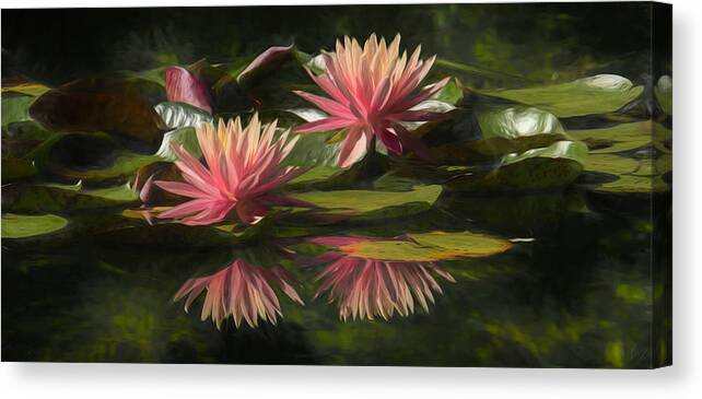 Water Lily Canvas Print featuring the photograph Summer is Here_panorama by Mary Buck