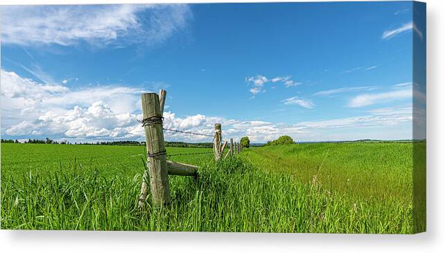 2020-06-21 Canvas Print featuring the photograph Barbed-Wire Fence by Phil And Karen Rispin