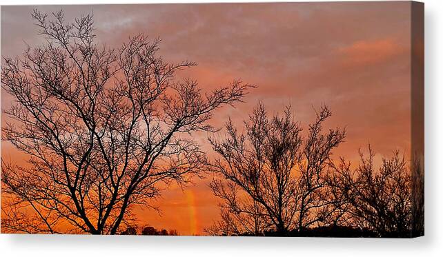 Rainbow Canvas Print featuring the photograph End of the Rainbow by Lee Darnell