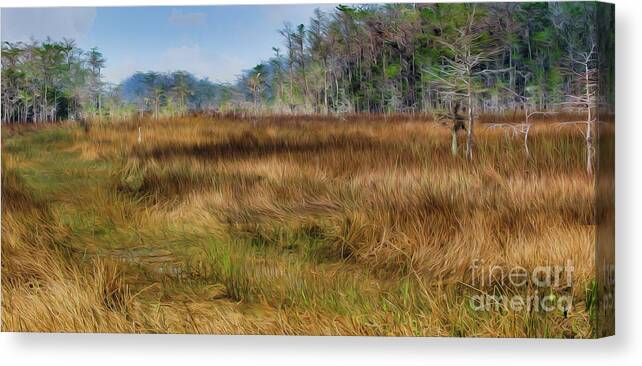 Airboat Trail Canvas Print featuring the digital art Everglades Airboat Trail by Patti Powers