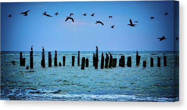 North Carolina Canvas Print featuring the photograph First Flight at First Light by Dan Carmichael