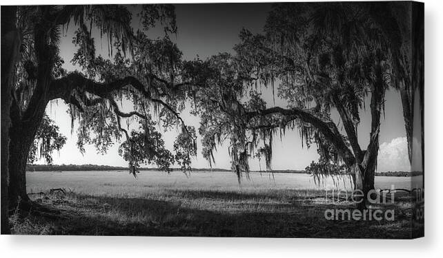 Black And White Canvas Print featuring the photograph Myakka River State Park Prairie, Florida, BW by Liesl Walsh