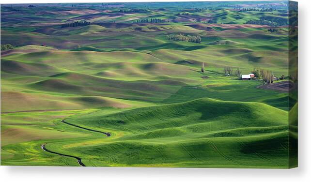Landscape Canvas Print featuring the photograph Palouse Landscape #1 by Greg Waddell