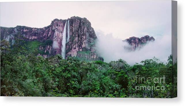 Dave Welling Canvas Print featuring the photograph Panorama Angel Falls Canaima Np Venezuela by Dave Welling