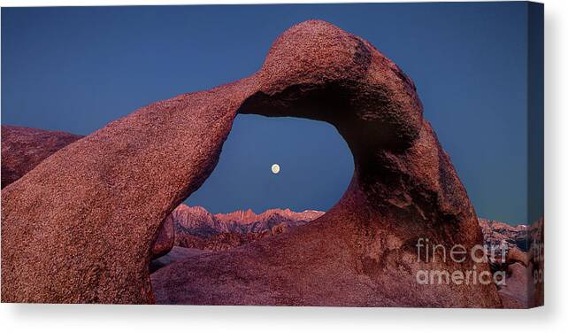Geological Formations Canvas Print featuring the photograph Panoramic Moonset in Arch Alabama Hills California by Dave Welling