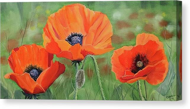 Poppy Flowers Canvas Print featuring the painting Poppies by Connie Rish