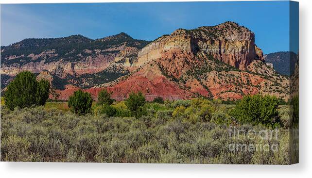 Landscape Canvas Print featuring the photograph Summer Greens by Seth Betterly