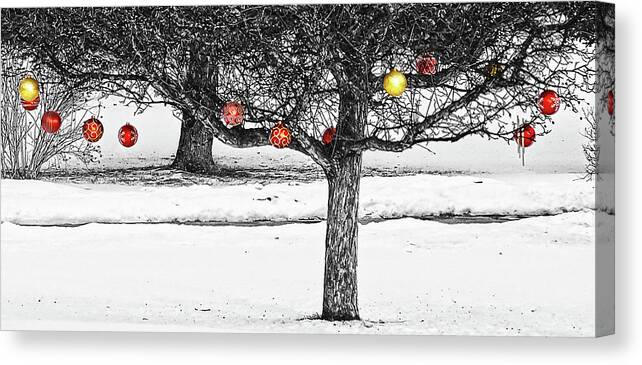 Christmas Canvas Print featuring the photograph Winter fruits by Tatiana Travelways