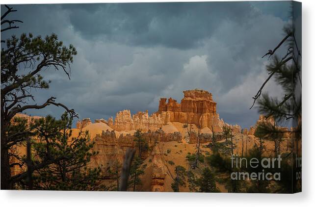 Bryce Canyon Canvas Print featuring the photograph Contrast in Bryce Canyon by Agnes Caruso