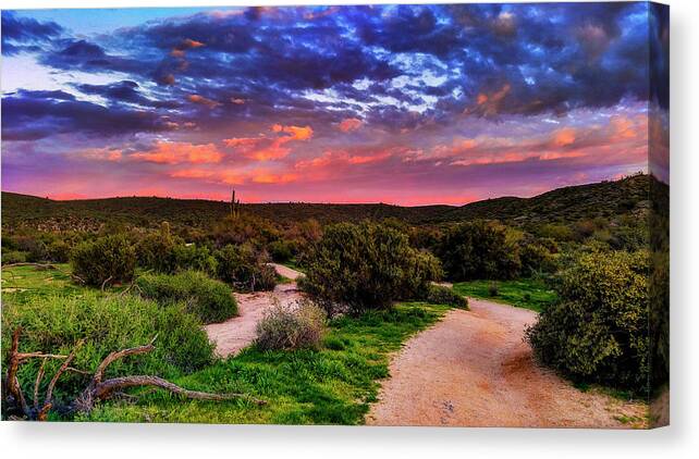 Arizona Canvas Print featuring the photograph Scenic Trailhead by Anthony Citro